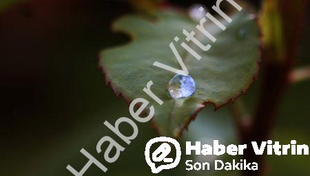 Bilim Dünyasında Şaşırtan Keşifler: Yeni Bilinmeyenler ve Olası Etik Sorunlar