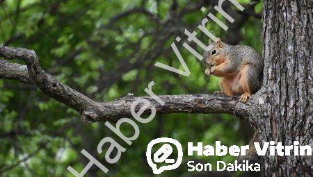 Eğlence Sektöründe Sanatın Gücü: Hangi İsimler Toplumsal Değişime Etki Ediyor?