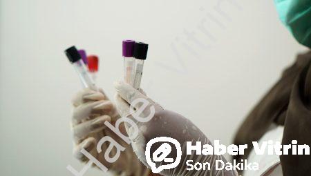 Kan Tahlili İçin Hangi Bölüme Gidilir