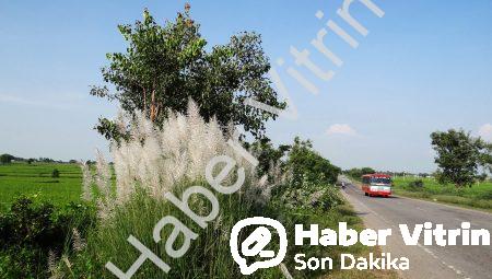Hangi Doktor Kan Değerlerine Bakar