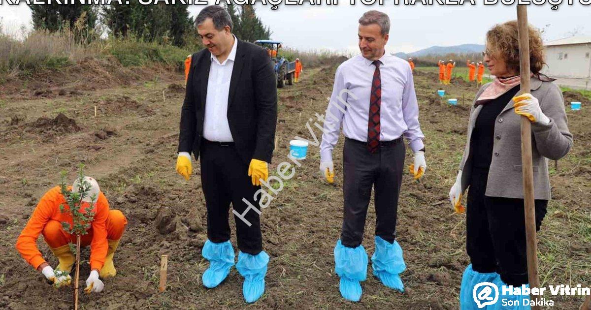 "Dalaman Açık Cezaevi'nde Tarımsal Kalkınma: Sakız Ağaçları Toprakla Buluştu" başlıklı haber için fo