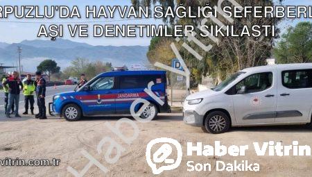 Karpuzlu’da Hayvan Sağlığı Seferberliği: Aşı ve Denetimler Sıkılaştı