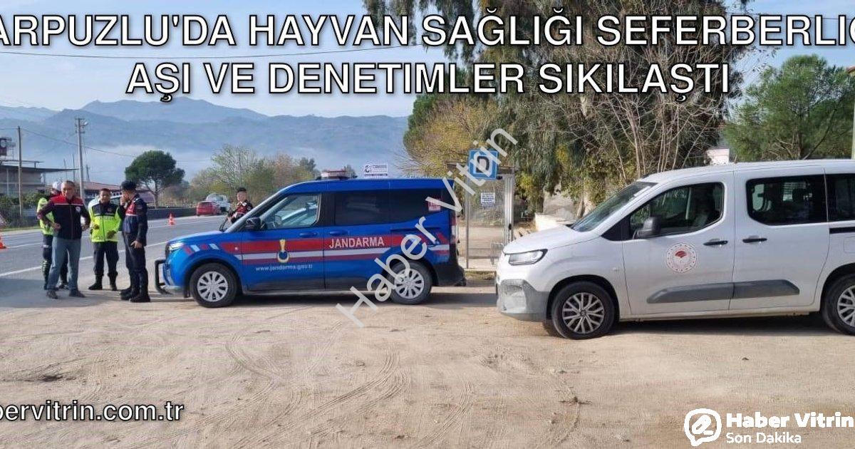 "Karpuzlu'da Hayvan Sağlığı Seferberliği: Aşı ve Denetimler Sıkılaştı" başlıklı haber için fotoreali