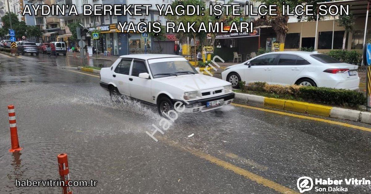 "Aydın'a Bereket Yağdı: İşte İlçe İlçe Son Yağış Rakamları" başlıklı haber için fotorealistik, profe