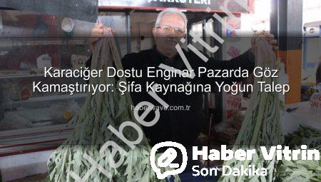 Karaciğer Dostu Enginar Pazarda Yok Satıyor: Şifa Kaynağına Yoğun İlgi