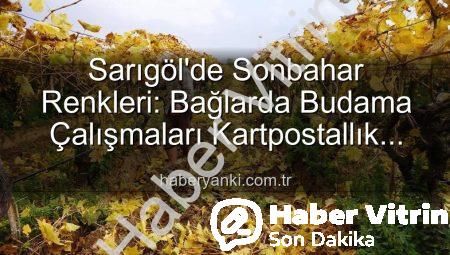 Sarıgöl’de Sonbahar Büyüsü: Üzüm Bağlarında Kartpostallık Manzara Eşliğinde Budama Çalışmaları Başladı, Yevmiye Fiyatları Belli Oldu