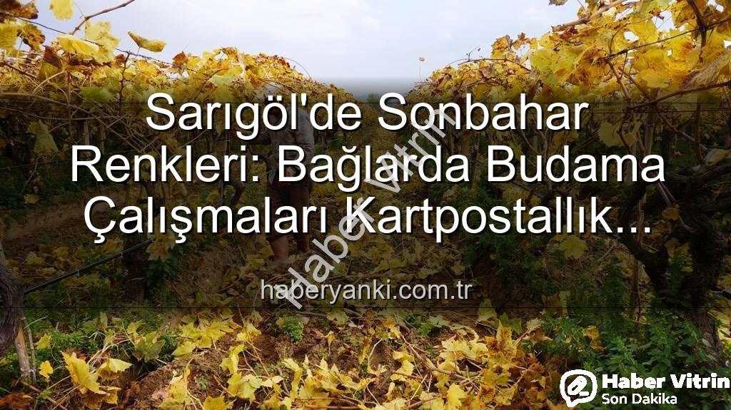 Sarıgöl budama - Sarıgöl'de Sonbahar Büyüsü: Üzüm Bağlarında Kartpostallık Manzara Eşliğinde Budama Çalışmaları Başladı, Yevmiye Fiyatları Belli Oldu