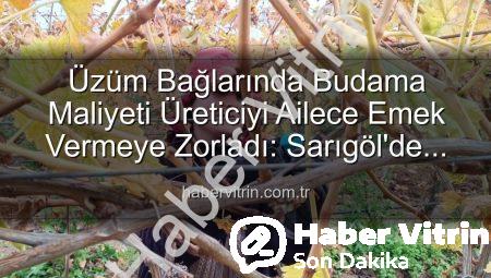 Üzüm Bağlarında Budama Maliyeti Üreticiyi Ailece Emek Vermeye Zorladı: Sarıgöl’de Yeni Dönem