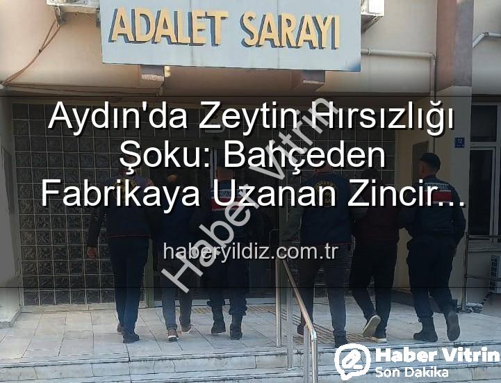 zeytin hırsızlığı - Aydın'da Bahçeden Çalınan Zeytinler Fabrikada Ele Geçirildi: 2 Şüpheli Tutuklandı