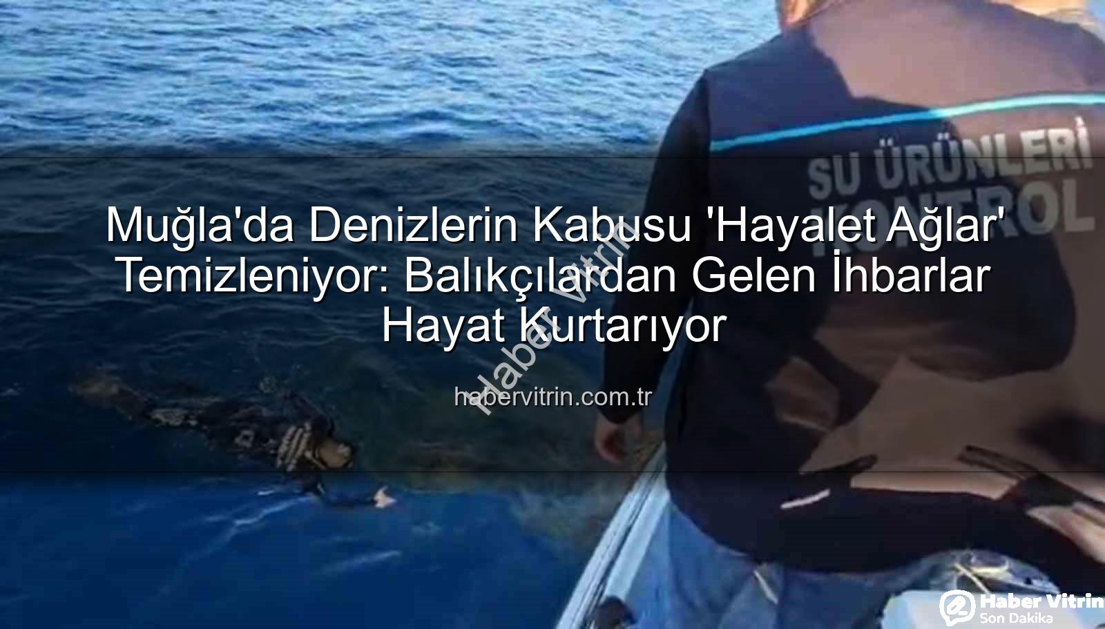 hayalet ağ - Muğla'da Denizlerin Kabusu 'Hayalet Ağlar' Temizleniyor: Balıkçılardan Gelen İhbarlar Hayat Kurtarıyor