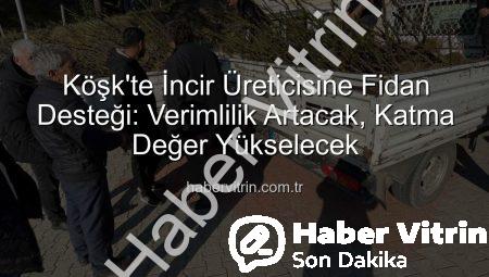 Köşk’te İncir Üreticisine Fidan Desteği: Verimlilik Artacak, Katma Değer Yükselecek