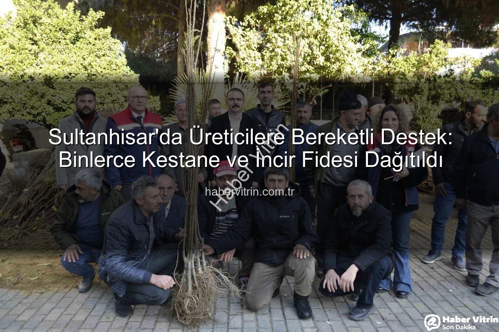 kestane incir fidesi - Sultanhisar'da Üreticilere Bereketli Destek: Binlerce Kestane ve İncir Fidesi Dağıtıldı