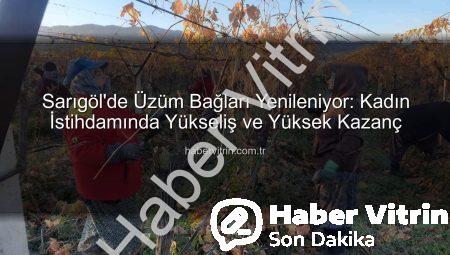 Sarıgöl’de Üzüm Bağları Yenileniyor: Kadın İstihdamında Yükseliş ve Yüksek Kazanç