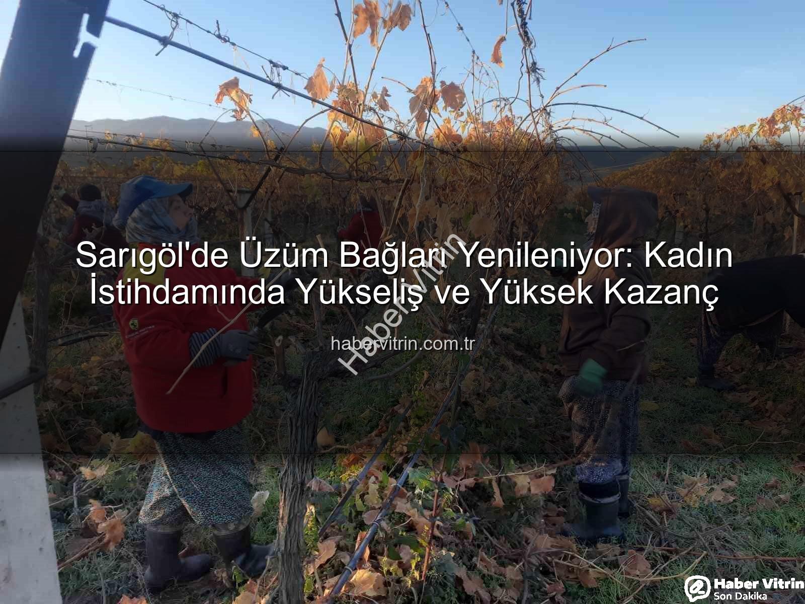kadın istihdamı - Sarıgöl'de Üzüm Bağları Yenileniyor: Kadın İstihdamında Yükseliş ve Yüksek Kazanç
