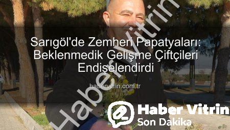 Sarıgöl’de Zemheri Papatyaları: Beklenmedik Gelişme Çiftçileri Endişelendirdi