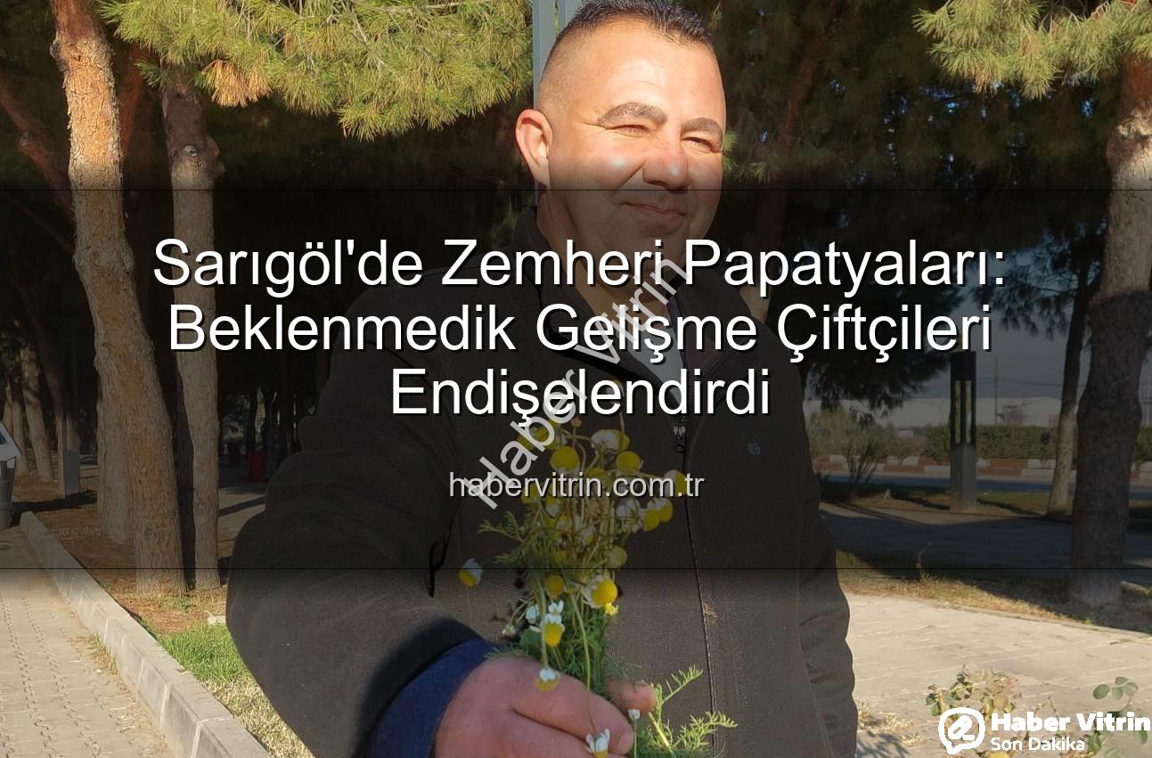 zemheri papatyaları - Sarıgöl'de Zemheri Papatyaları: Beklenmedik Gelişme Çiftçileri Endişelendirdi